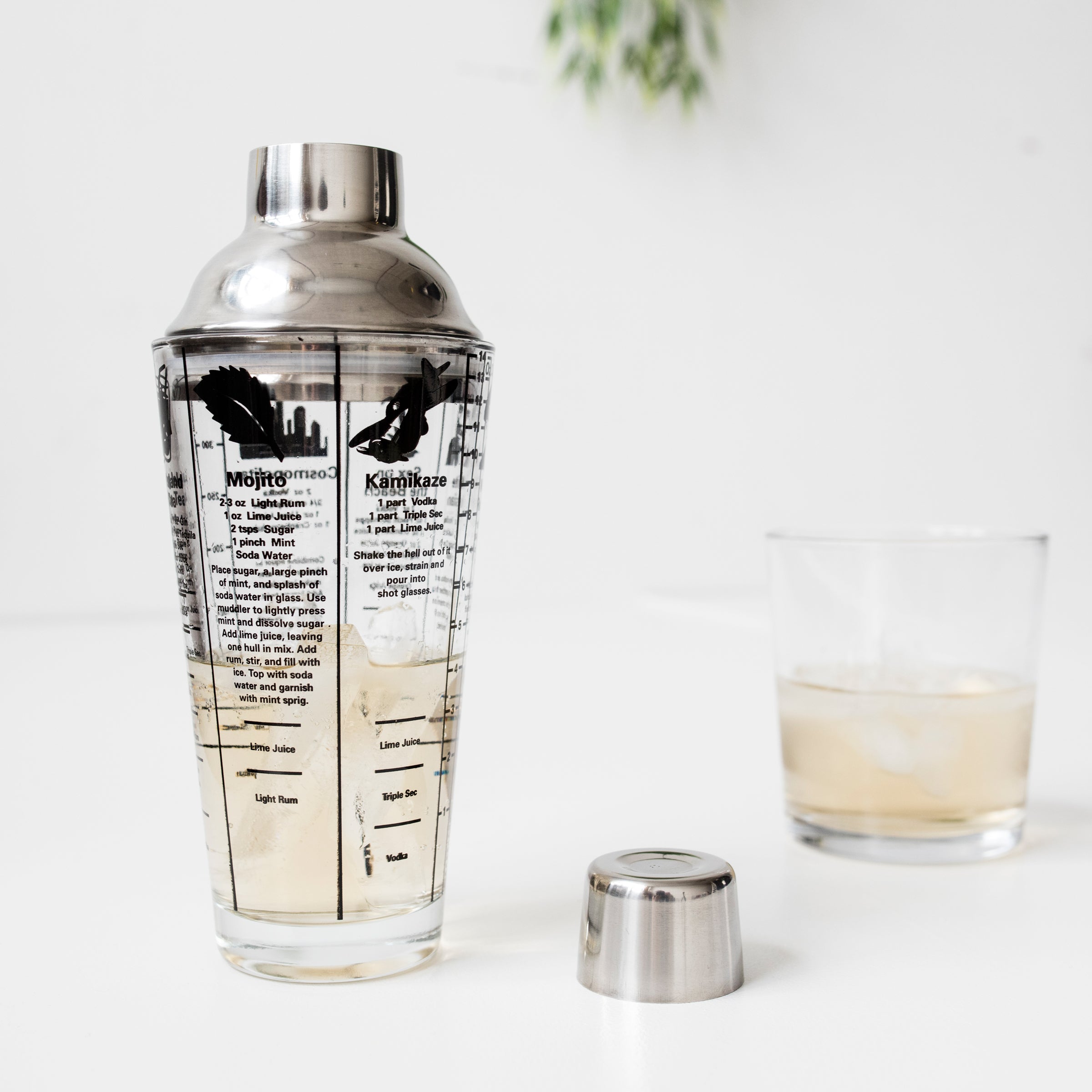 BA22_Mix-Master-Cocktail-Shaker-KL-2016-1441-Action-3