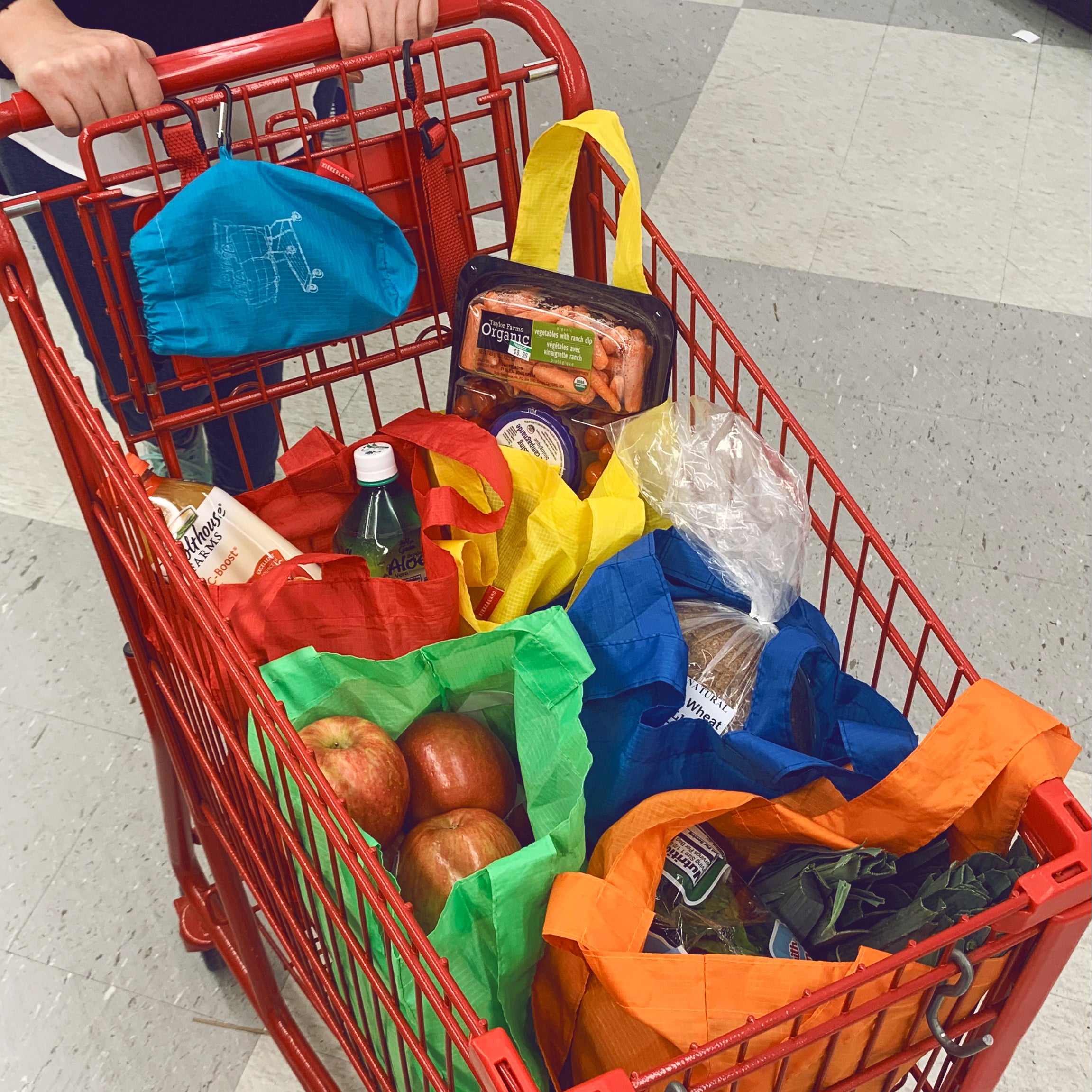 BB104_5IN1SHOPPINGBAGACTION1