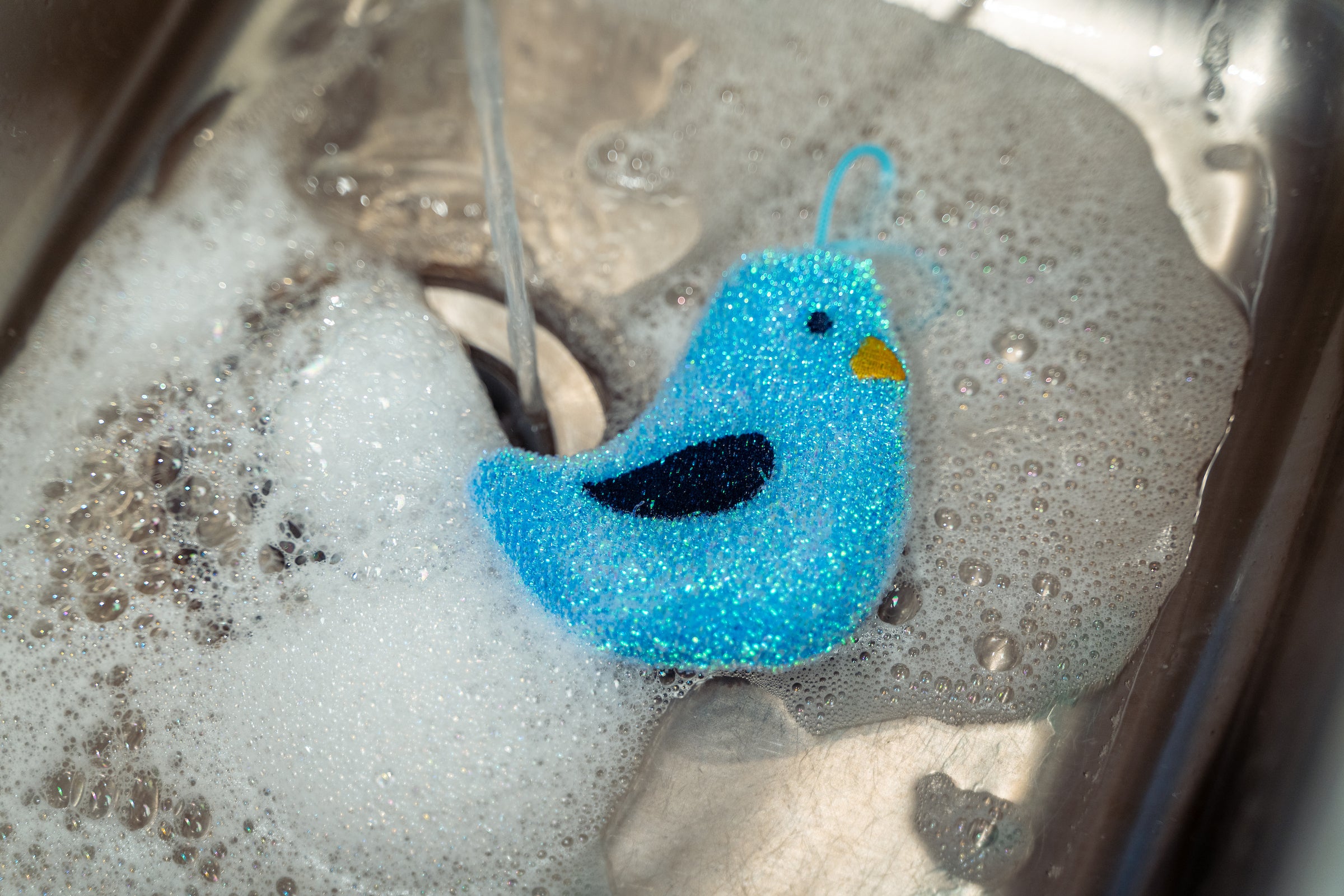 CU376_Bird_Sponges_-_Lifestyle