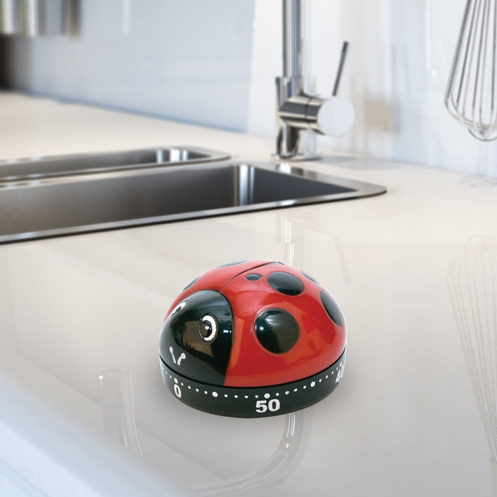 KT21-A-ladybug-kitchen